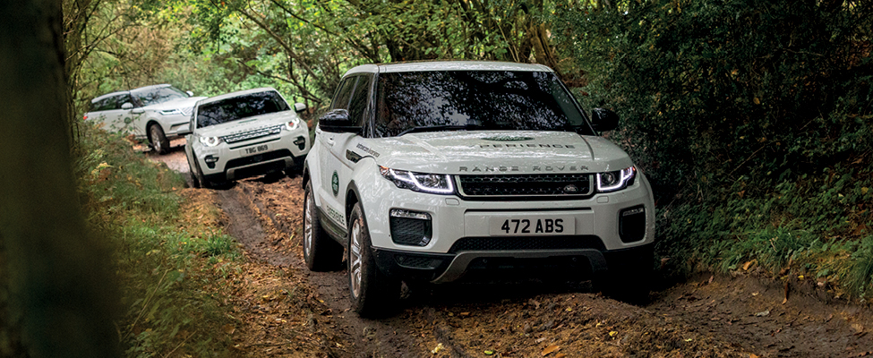 Range Rover Velar, Land Rover Discovery Sport and Range Rover Evoque on a narrow trail through the woods.