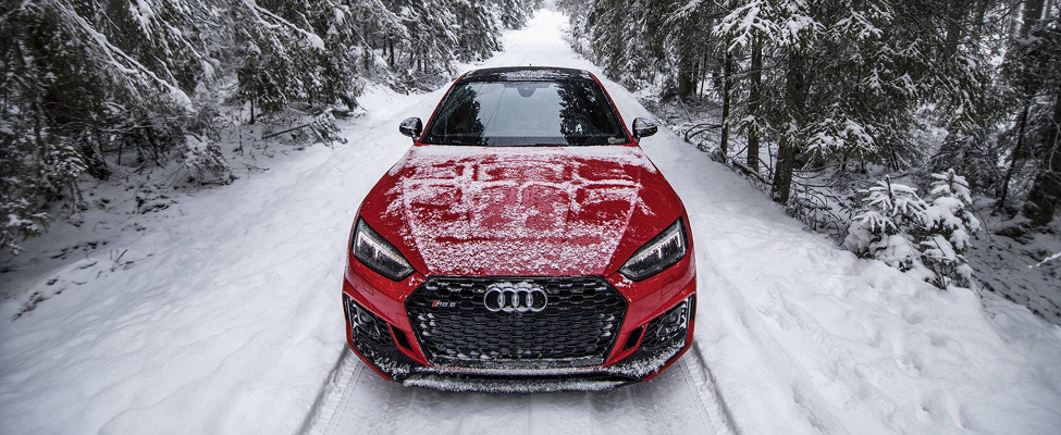 Audi vehicles are well suited to winter driving. 
